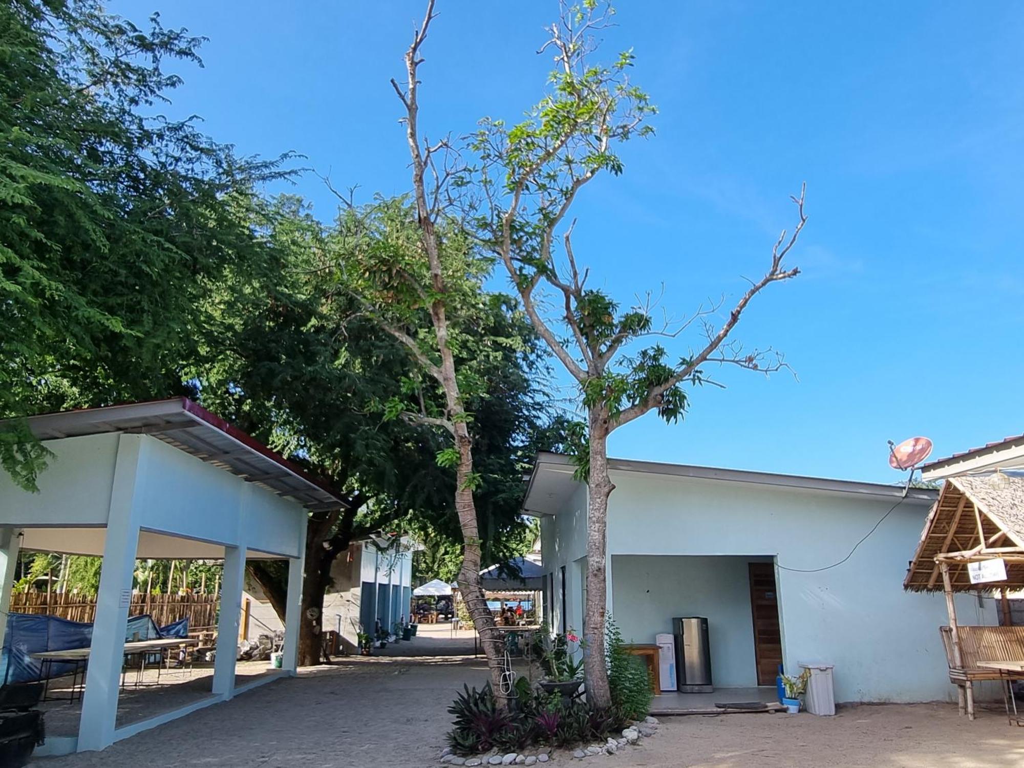 Yemaya De Laiya Powered By Cocotel 外观 照片